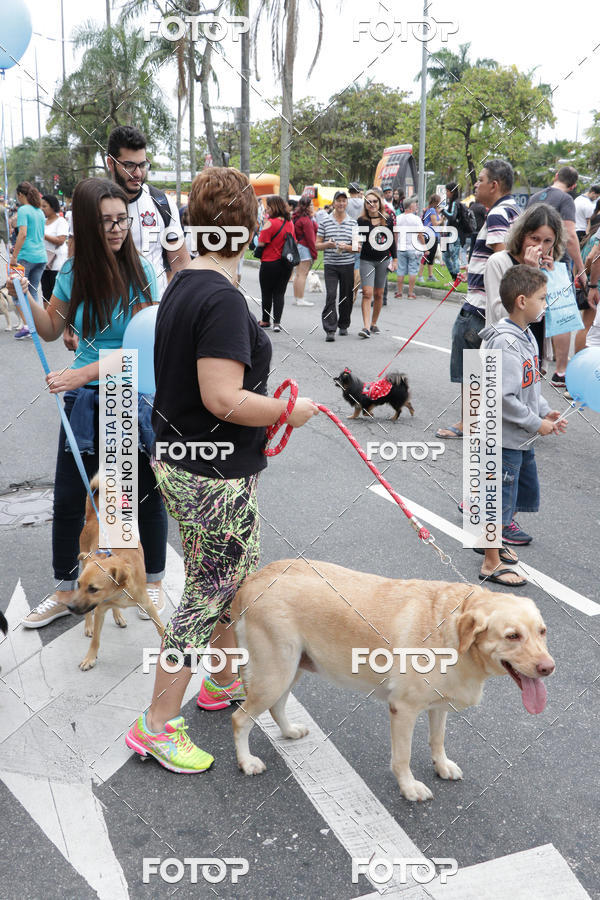 Buy your photos of the event13� C�ominhada - Santos on Fotop