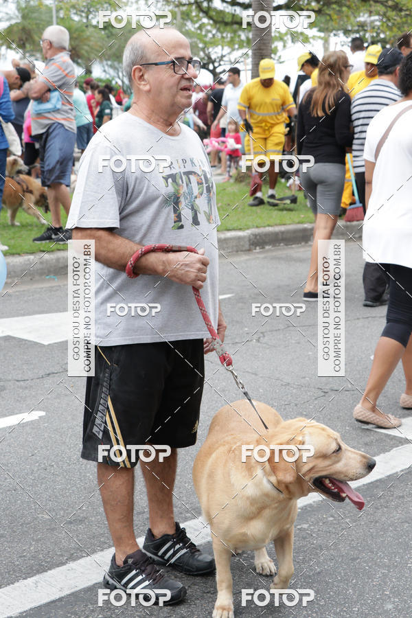 Buy your photos of the event13� C�ominhada - Santos on Fotop