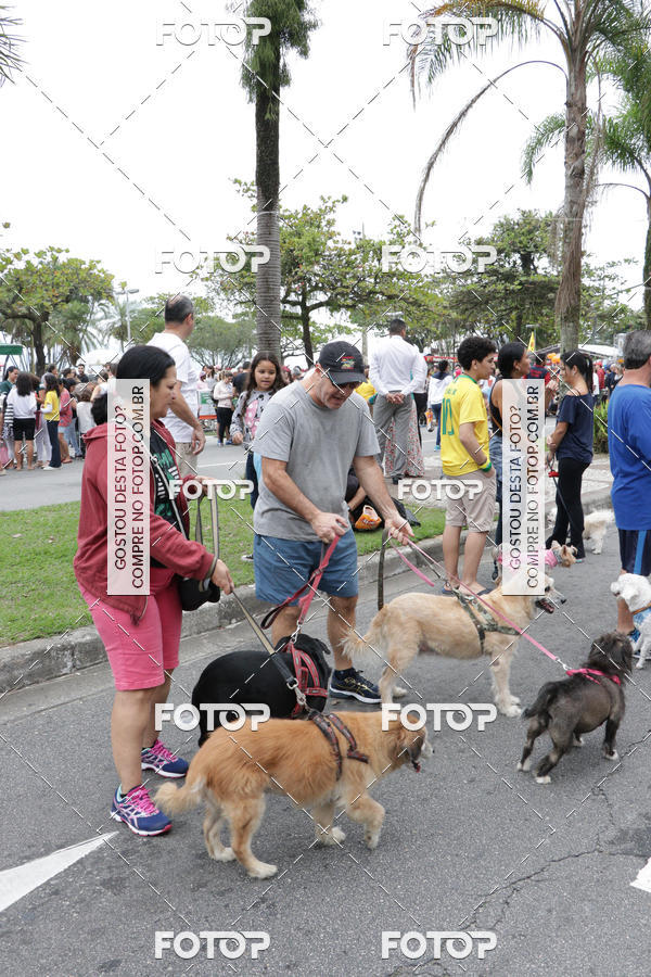 Buy your photos of the event13� C�ominhada - Santos on Fotop