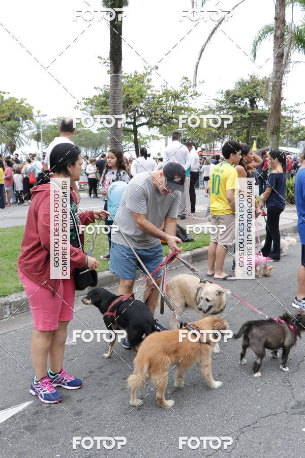Buy your photos of the event13� C�ominhada - Santos on Fotop