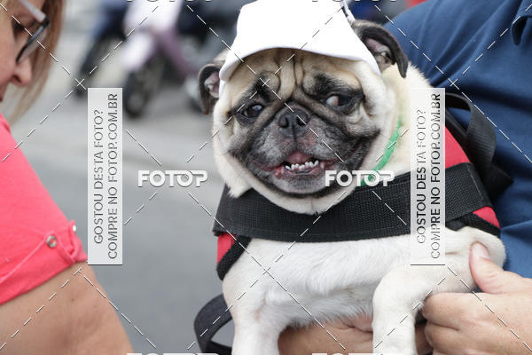Buy your photos of the event13 Cominhada - Santos on Fotop
