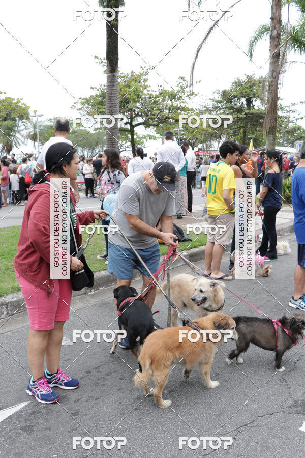 Buy your photos of the event13� C�ominhada - Santos on Fotop