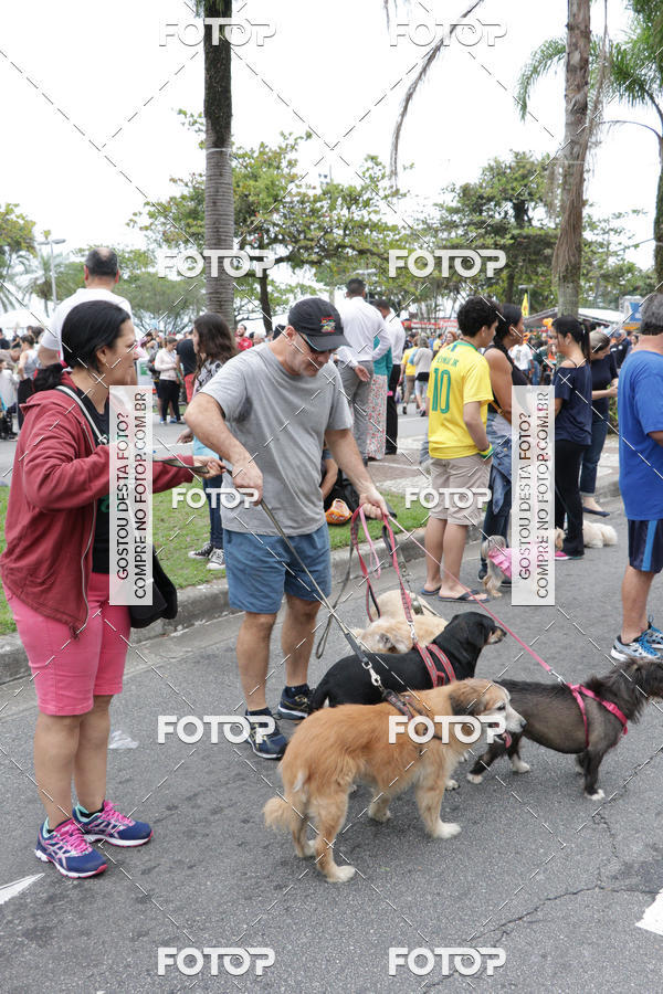 Buy your photos of the event13� C�ominhada - Santos on Fotop