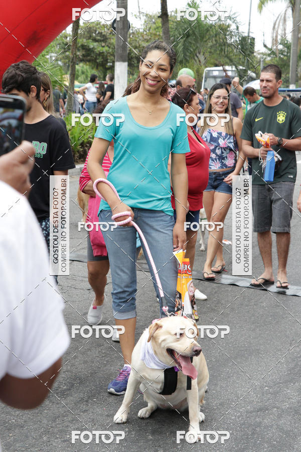 Buy your photos of the event13� C�ominhada - Santos on Fotop