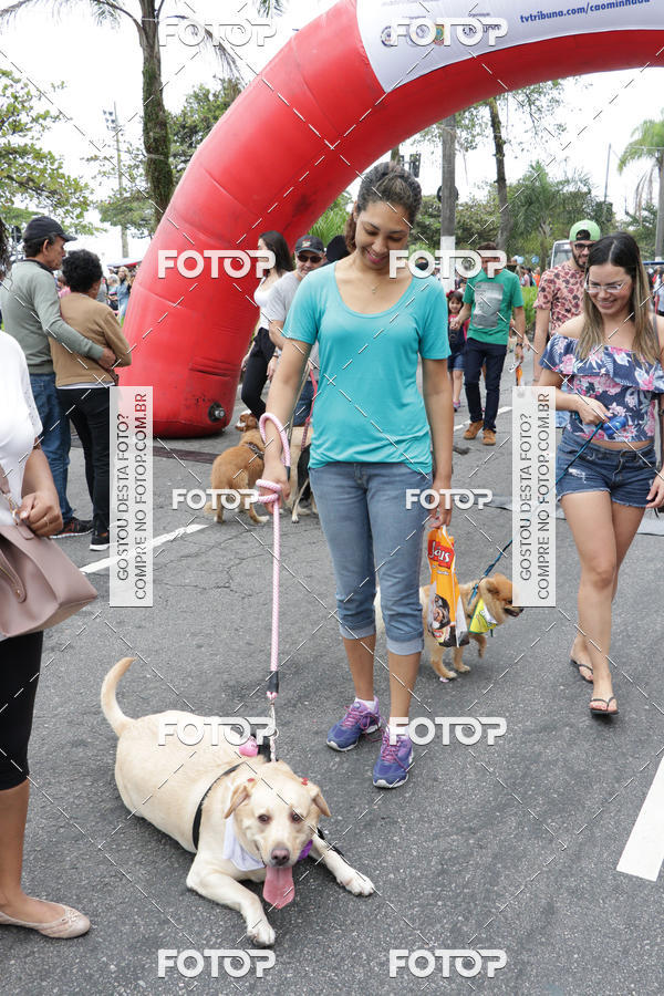 Buy your photos of the event13� C�ominhada - Santos on Fotop