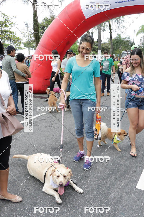 Buy your photos of the event13� C�ominhada - Santos on Fotop