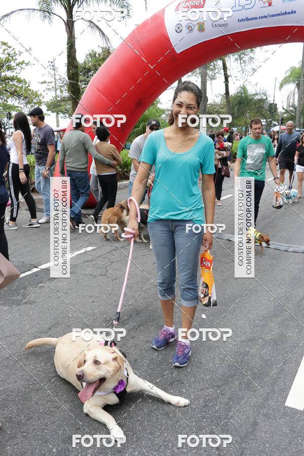 Buy your photos of the event13� C�ominhada - Santos on Fotop