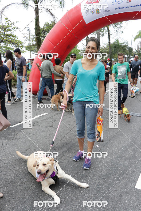 Buy your photos of the event13� C�ominhada - Santos on Fotop