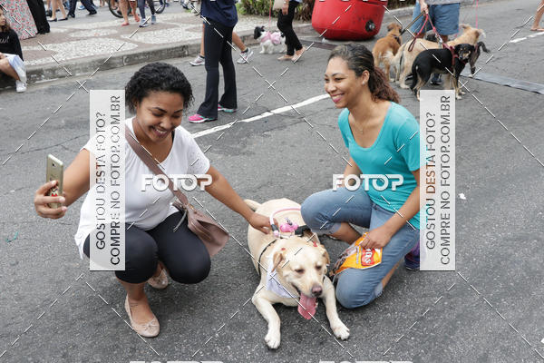 Buy your photos of the event13� C�ominhada - Santos on Fotop