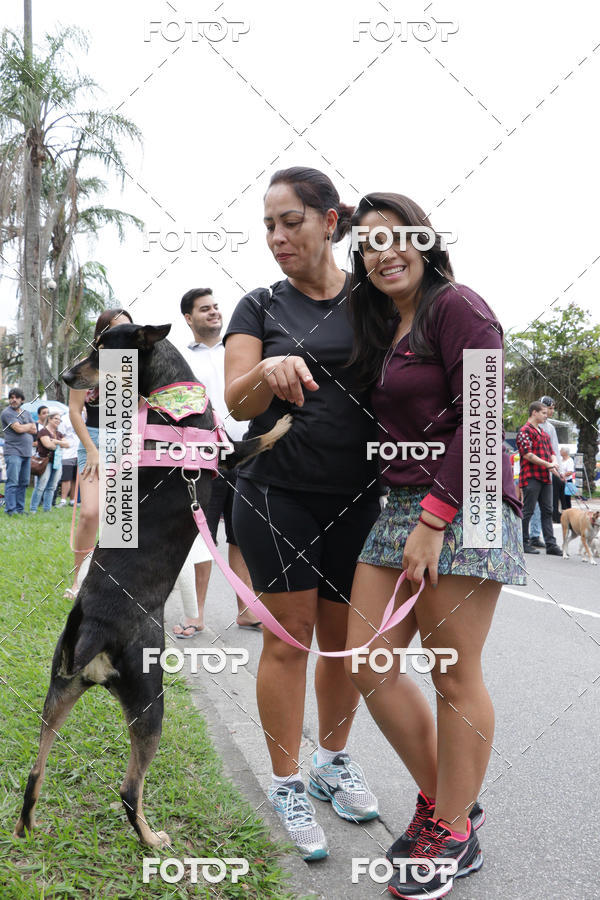 Buy your photos of the event13� C�ominhada - Santos on Fotop