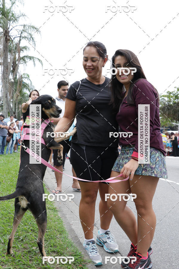 Buy your photos of the event13� C�ominhada - Santos on Fotop