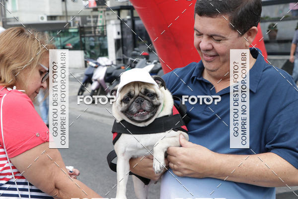 Buy your photos of the event13 Cominhada - Santos on Fotop