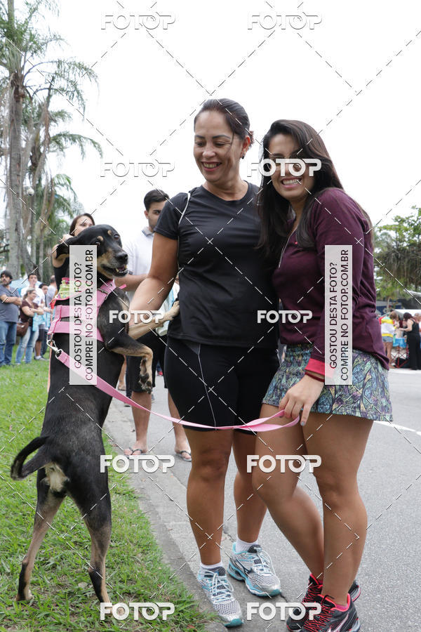 Buy your photos of the event13� C�ominhada - Santos on Fotop
