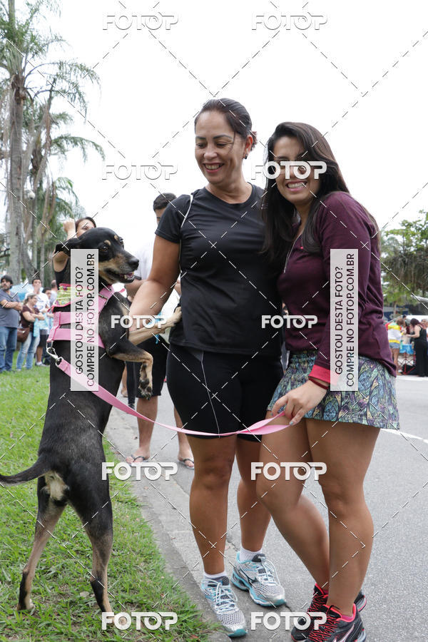 Buy your photos of the event13� C�ominhada - Santos on Fotop