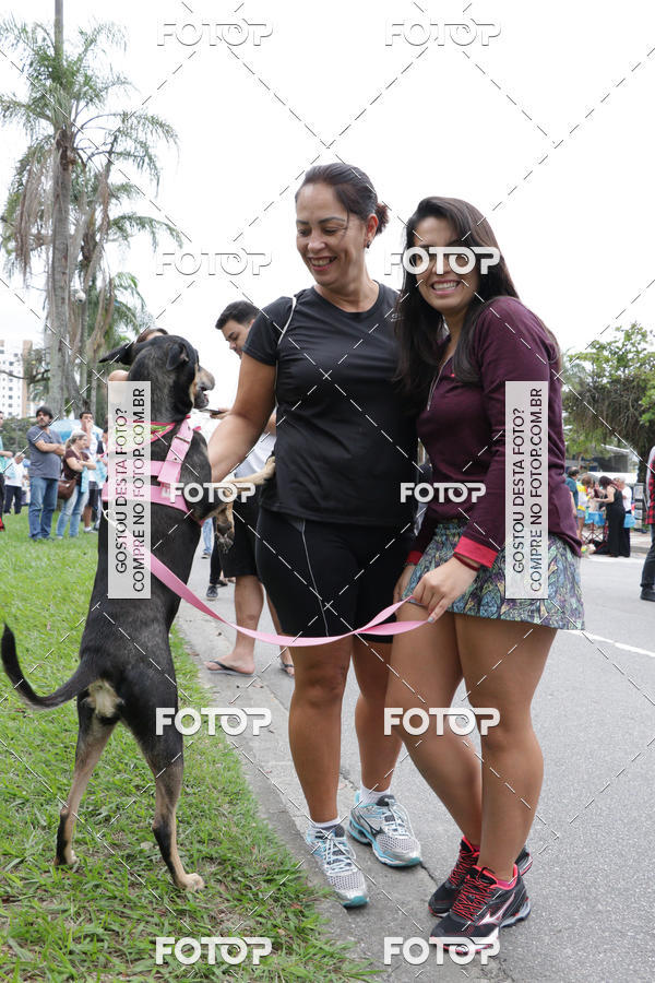 Buy your photos of the event13� C�ominhada - Santos on Fotop