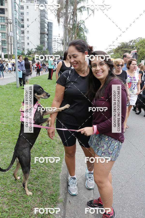 Buy your photos of the event13� C�ominhada - Santos on Fotop