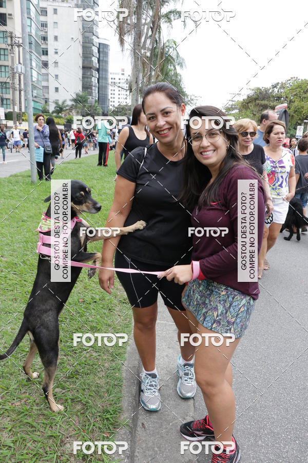 Buy your photos of the event13� C�ominhada - Santos on Fotop