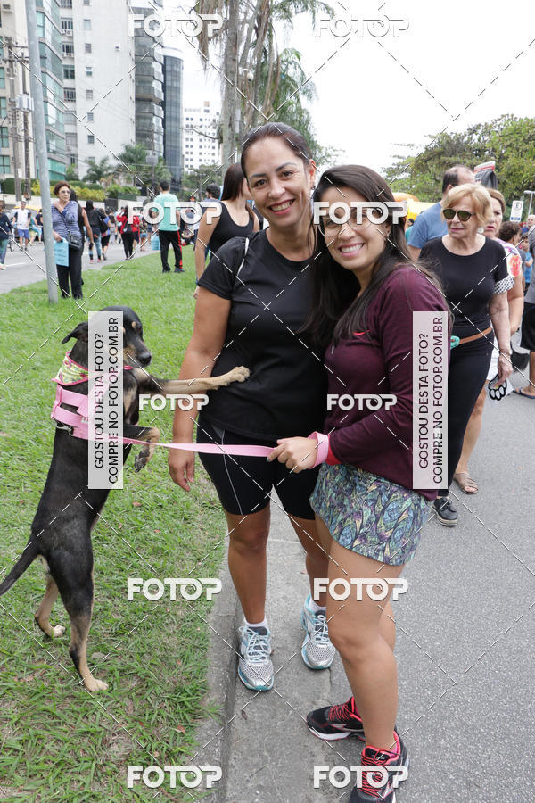 Buy your photos of the event13� C�ominhada - Santos on Fotop