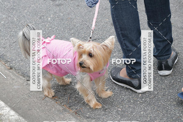 Buy your photos of the event13� C�ominhada - Santos on Fotop