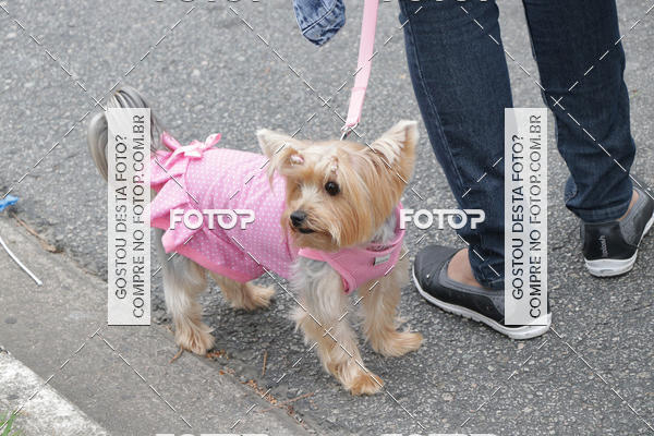 Buy your photos of the event13� C�ominhada - Santos on Fotop