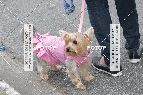 Buy your photos of the event13� C�ominhada - Santos on Fotop