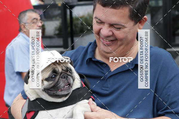 Buy your photos of the event13 Cominhada - Santos on Fotop