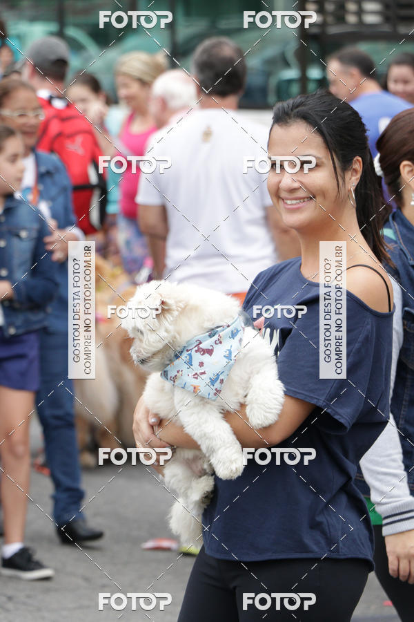 Buy your photos of the event13� C�ominhada - Santos on Fotop