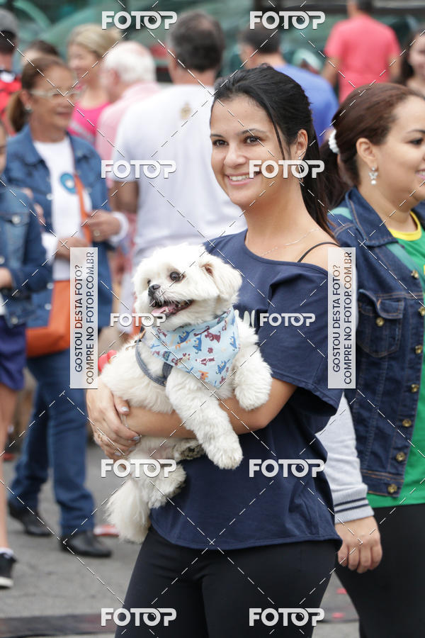 Buy your photos of the event13� C�ominhada - Santos on Fotop