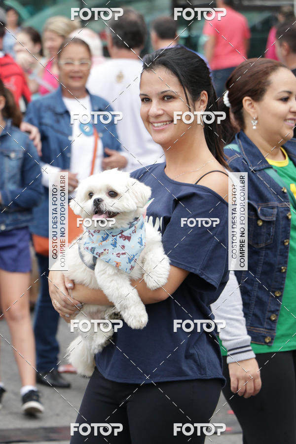 Buy your photos of the event13� C�ominhada - Santos on Fotop