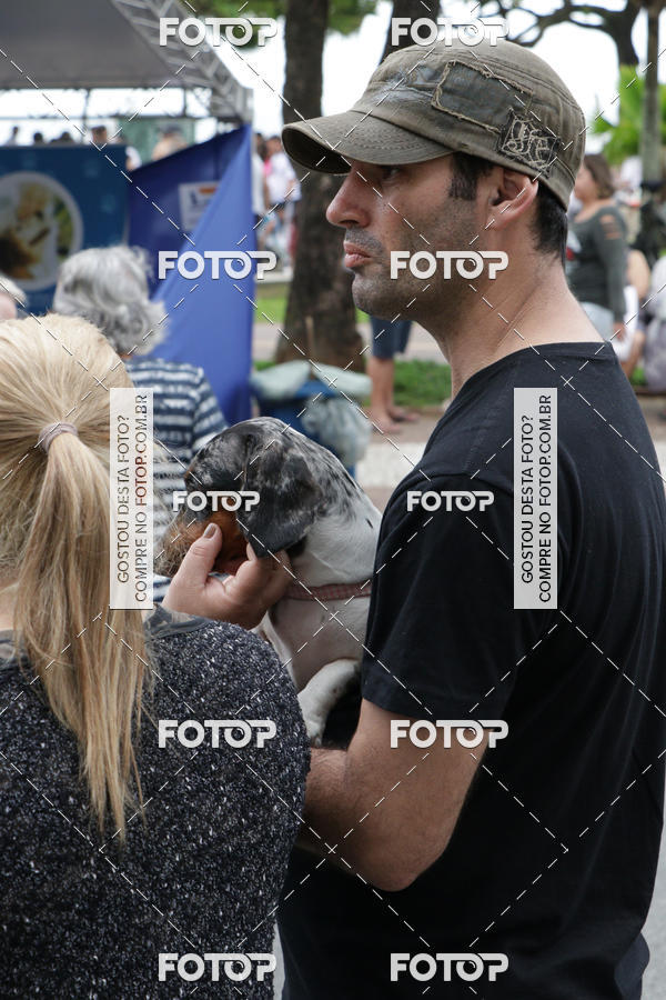 Buy your photos of the event13� C�ominhada - Santos on Fotop