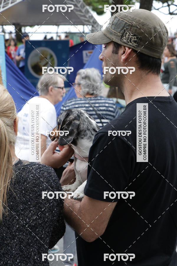 Buy your photos of the event13� C�ominhada - Santos on Fotop