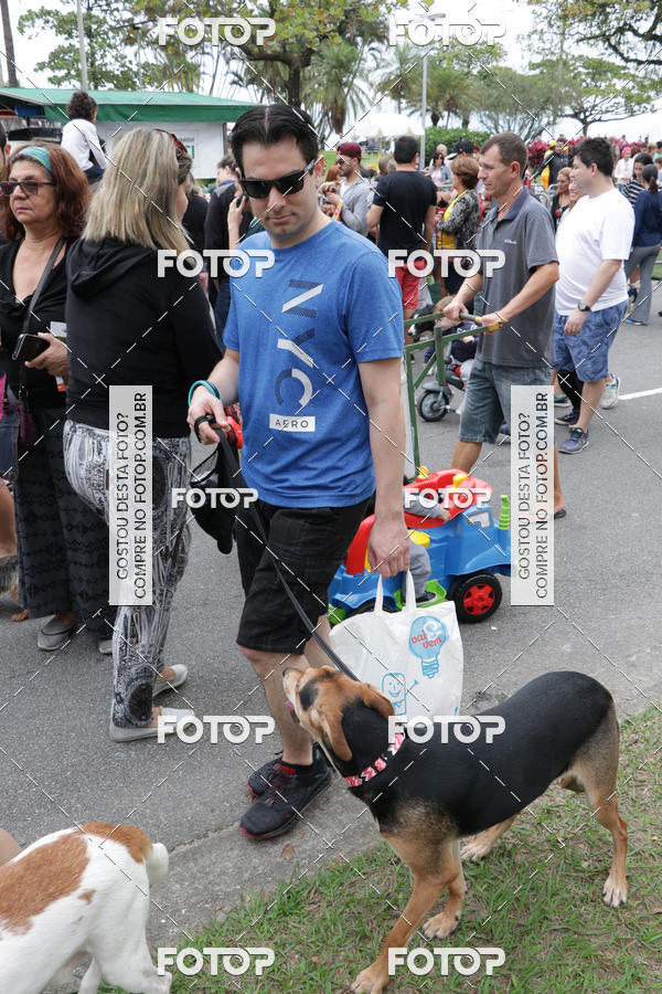 Buy your photos of the event13� C�ominhada - Santos on Fotop