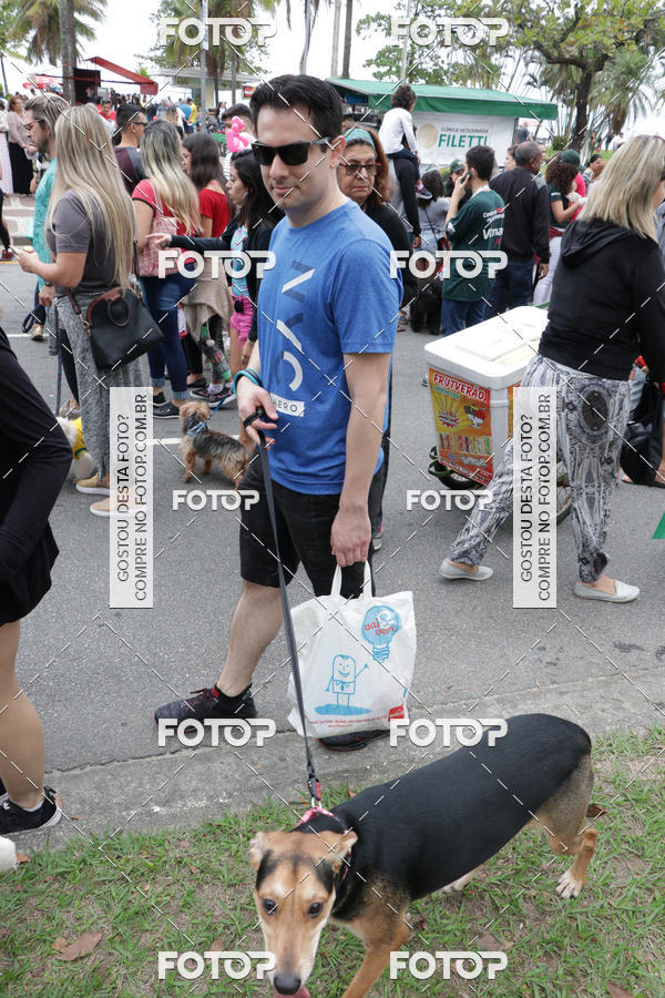 Buy your photos of the event13� C�ominhada - Santos on Fotop