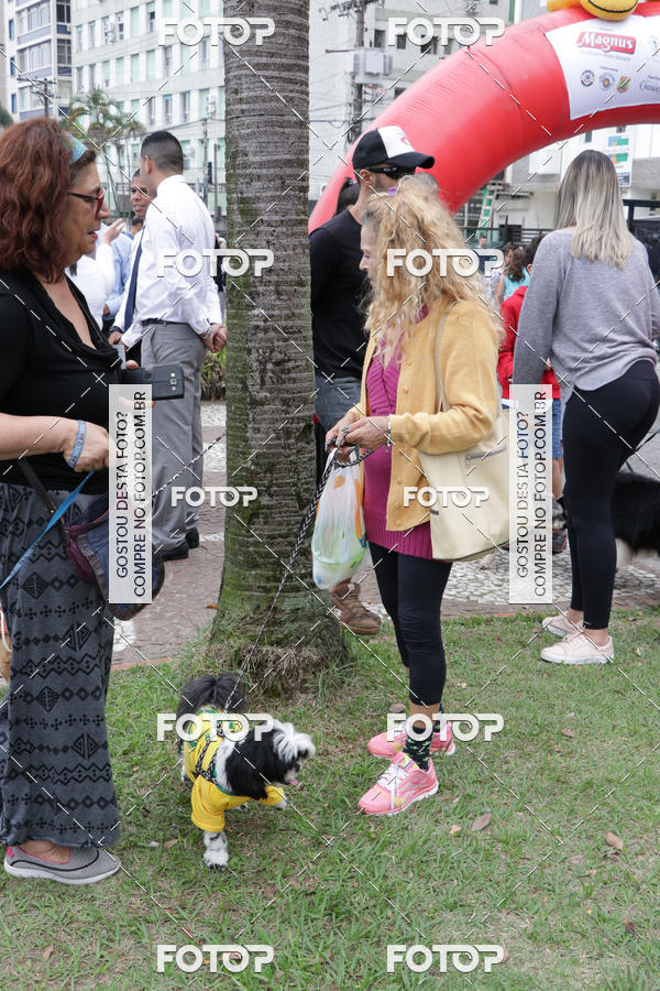 Buy your photos of the event13� C�ominhada - Santos on Fotop