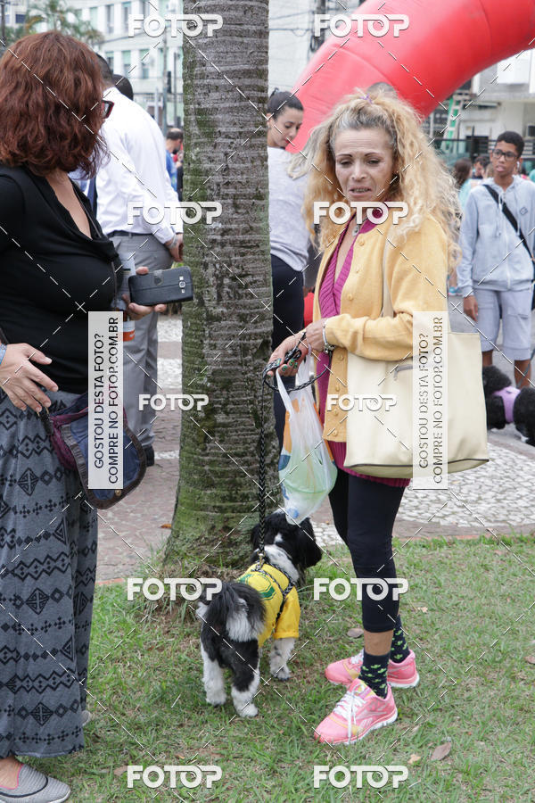 Buy your photos of the event13� C�ominhada - Santos on Fotop