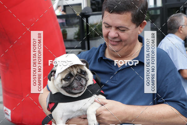 Buy your photos of the event13 Cominhada - Santos on Fotop