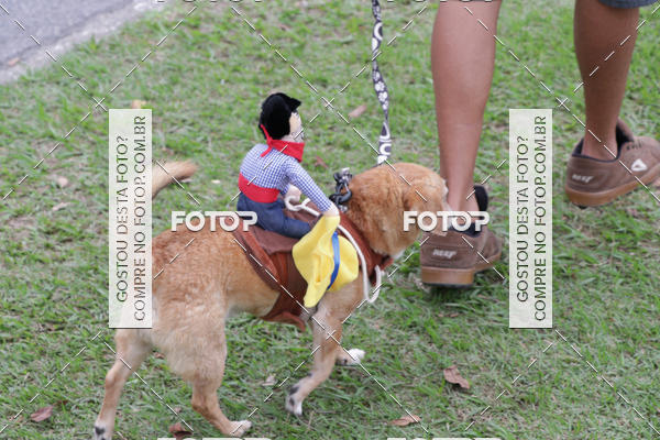 Buy your photos of the event13� C�ominhada - Santos on Fotop