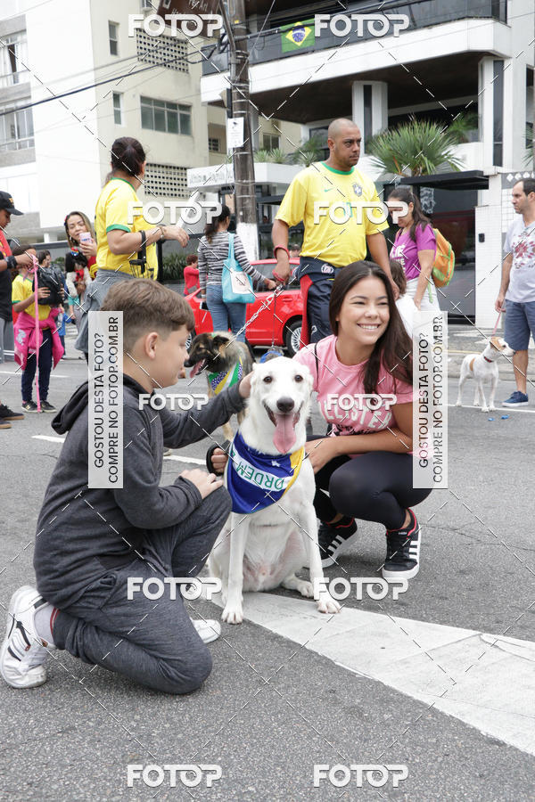Buy your photos of the event13� C�ominhada - Santos on Fotop