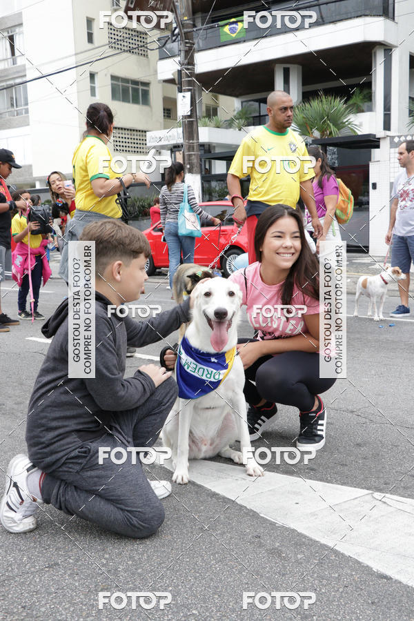 Buy your photos of the event13� C�ominhada - Santos on Fotop