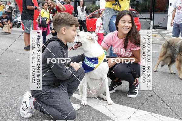 Buy your photos of the event13� C�ominhada - Santos on Fotop