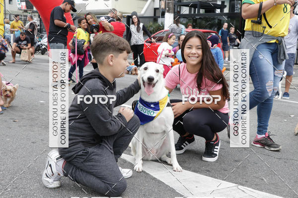 Buy your photos of the event13� C�ominhada - Santos on Fotop