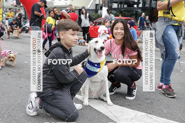 Buy your photos of the event13� C�ominhada - Santos on Fotop