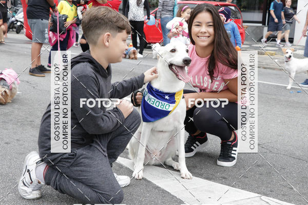 Buy your photos of the event13� C�ominhada - Santos on Fotop