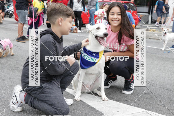 Buy your photos of the event13� C�ominhada - Santos on Fotop