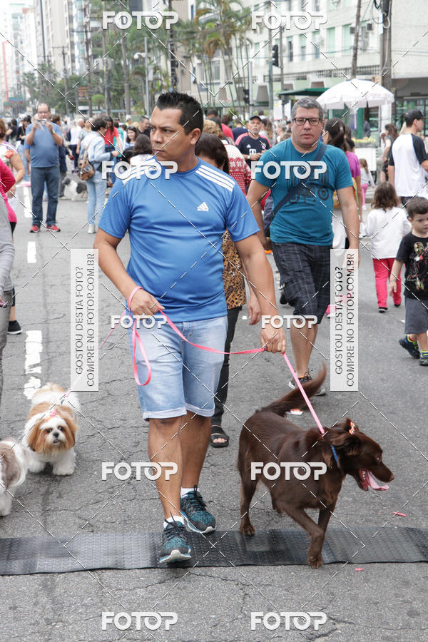 Buy your photos of the event13� C�ominhada - Santos on Fotop