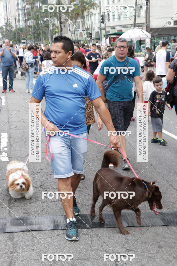 Buy your photos of the event13� C�ominhada - Santos on Fotop