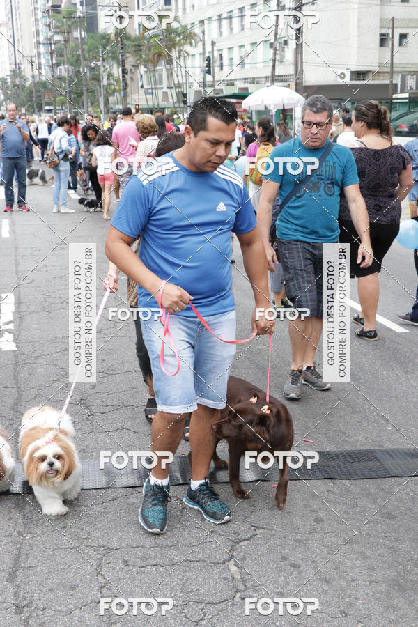 Buy your photos of the event13� C�ominhada - Santos on Fotop