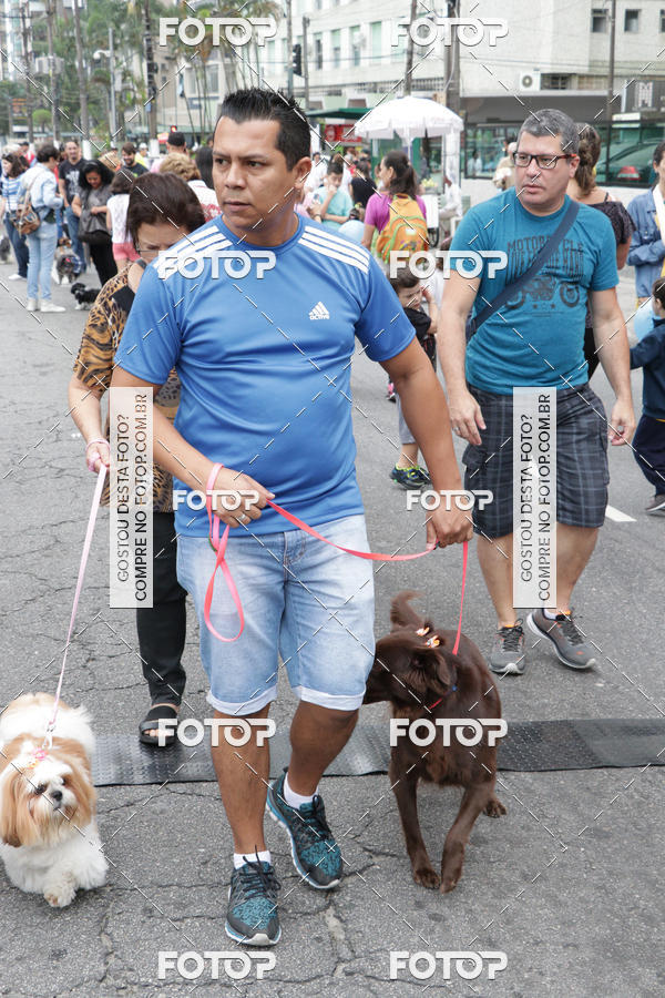 Buy your photos of the event13� C�ominhada - Santos on Fotop