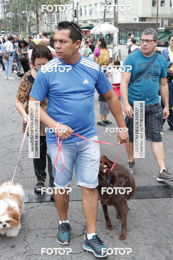 Buy your photos of the event13� C�ominhada - Santos on Fotop