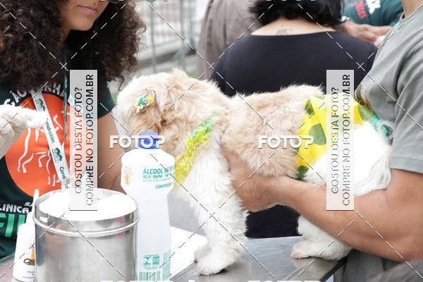 Buy your photos of the event13� C�ominhada - Santos on Fotop